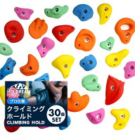 クライミング ホールド クライミングホールド 30個 【プロ仕様】ボルダリング ロック クライミングウォー…