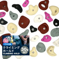 クライミング ホールド 落ち着いたカラー クライミングホールド 30個 【プロ仕様】ボルダリング ロック …