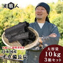 オガ炭 国産 30kg (10kg×3箱) 炭職人 オガ備長炭 長時間燃焼 高火力 白炭 オガ 備長炭 高品質 焼き鳥 焼肉 キャンプ バーベキュー BBQ 飲食店 業務用 アウトドア 木炭 七輪 囲炉裏 おがたん おがすみ 炭火焼 七輪 コンロ 燃料 日本産【yama】