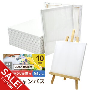 yԌ聚SALEzLoX{[h 10Zbg 30cm×30cm  LoX MTCY GLoX  t@[XgA[g AN ؐt[ ` G XPb` G{[h 