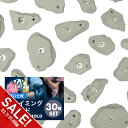 【期間限定★SALE】クライミング ホールド クライミング ボルダリング スポーツクライミング ボルディング スポーツ …