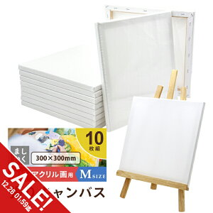 �y�労�ӍՁ�SALE�z�L�����o�X�{�[�h 10���Z�b�g 30cm×30cm ���� ����L�����o�X M�T�C�Y ���G�L�����o�X ���� �t�@�[�X�g�A�[�g �A�N������ �ؐ��t���[�� �����` �G�� �X�P�b�` �G��{�[�h ��