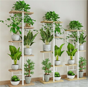 yzt[X^h ACA ԑ 4i 5i  /O /x_ X  u |bN K[fjObN v^[ |bg K[fbN v^