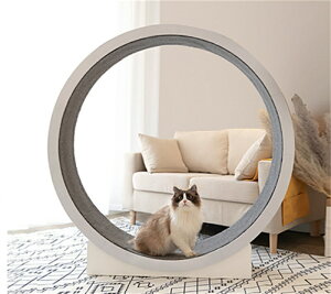 ybg [i[ LbgzC[ l LbgzC[ LbgzC[ L jOzC[ LbgEH[N Lbg [[ L̃gbh~ 񂵎 ܌ LbgGN