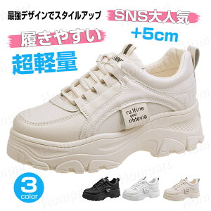  Xj[J[ fB[X lC _bhXj[J[ fB[XV[Y   5cm ؍ V[Y y EH[LOV[Y ubN zCg gAbv  r ₷ 
