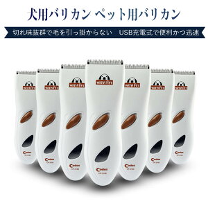 }\yP5{zIp  TCY L ybgp   R[hX S vp g~O Z~bN`^n 􂢉\ sN S[h Lp gCv[h Éy 