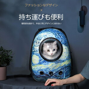 }\yP5{zt@bVȃfUC ^т֗ fUC ʋC ̉̋ O̕u S|Ȃ ̓IȋԂŕό`Ȃ FJvZLJo Lp 