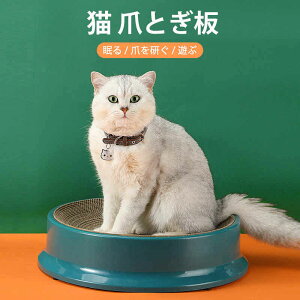 }\yP5{zL ܂Ƃ Lp܂Ƃ ▀Ղɋ ܂Ƃ ܌ ߂݂ ܖ Lpi a37cm ybgObY ybgpi ܂Ȃ \ȃCi[R