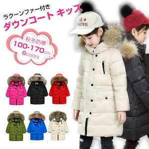 yP5{z_EWPbg LbY R[g q ̎q j̎q _EWPbg O N[t@[t t[h@ʊw LbY h H~ WjA AE^[ ~ ʉ AEghA Lb