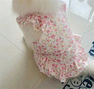 ^ ^  s[X hX ԕ ϑ 