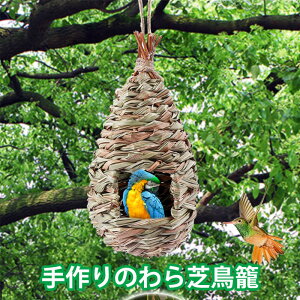 }\yP5{z ̂ Œ ؂₷ ݂艺 B  P[W fR[V X  JS JS P[W fBXvCp vcP[W CeA