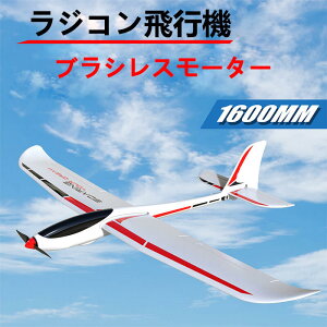 大型 ラジコン飛行機」の人気商品一覧 | 安い商品を通販サイトから探す 