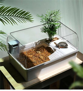 T J JP[X J^N Jn Eoh~tFX ւ֗ VF^[ vbgtH[  B