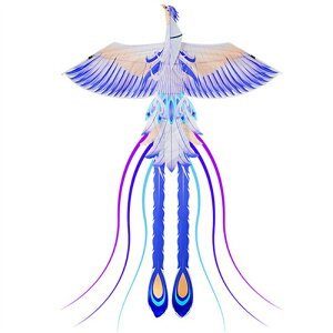   P JCg   JtJCg  ߋ q l ƏS҂̂߂̑ P  g ŗg  I` gݗĊȒP ti300`1000 mj