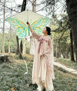    JCg 2.2m/2.6m   JtJCg  ߋ q l ƏS҂̂߂̑   g ŗg  I` gݗĊȒP ti300`10