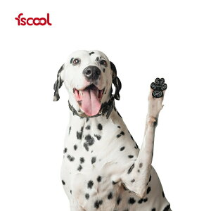  ybgpC  p pbh  ybg V[ ^^^ C C\[ ~  V[ ی h~ ׂ ~ ]|h~ tbg pbh i S S  