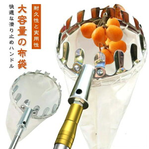 |p sbLOc[ t[csbJ[ }؂΂ ʕn Lk y g₷ XeX } ʕ nc[ ʕLb`[ x[sbJ[ K[fj