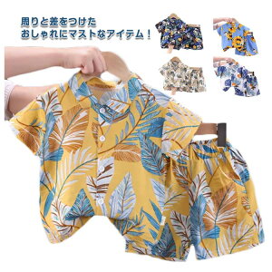 ǂ AnVc LbY gbvX Vc xr[ q j̎q  ㉺Zbg ̎q qǂ  nCA {gX Vc WjA JWA j n[tpc  