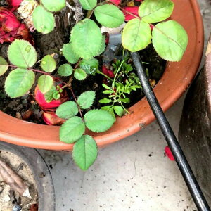 背[L VA[eBt@Ng XeX  pr y 4{^C 3^Cv Kȕ pr  G G G΍ 蓹 K[fjO  c Ő 