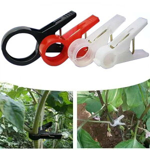 UNbvy 100 zLE iX |Nbv K[fjO U  ƒ؉ U  K[f pi _  |pi _Ɨpi _Ɨp _Ǝ ֗ ObY