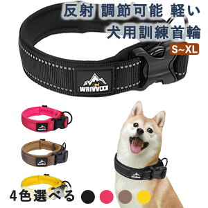 ̎  pP ^ ^ ^ ߉\ y  bV lC \tgpbh v ȒP