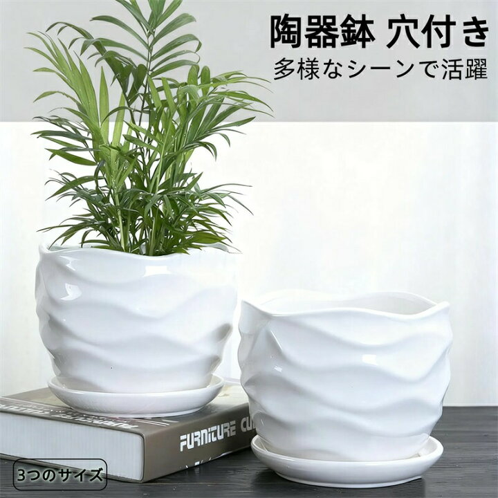 楽天市場】鉢 植木鉢 陶器鉢 観葉植物 陶器 プランター 受け皿付き 穴 