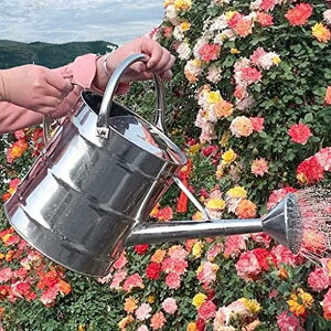 傤 XeX| WE e 傤 |傤 e 8L/12L UW[ 傤 A ΂̐Â傤p̖hK̓h{