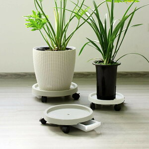 Aؔ ړԑ  t[X^h u LX^[ 󂯎M 360] LX^[ bN\ Xgbp[t 28.6cm 34.3cm 40cm 45.3cm 51.4cm 5TCY3J[Iׂ