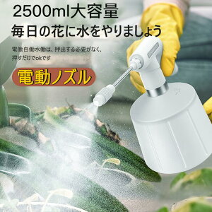 yP5{zS傤 d I[gXv[ 傤 d  ׂ Xv[ e EH[^[Xv[ Xv[{g dr ֗ ƒp ^ | _Uz |   g