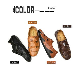 Y rWlX T_ amC ܐی Ep RtH[g SnQ _炩 ~ ʋΌC