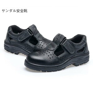 Y fB[X SC  T_ ^Cv ƌC ʋC̗ǂSC hL h ϖ h@h~