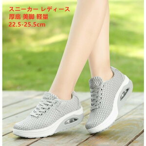 D^ r Xj[J[ ₷4.8cmq[ _CGbg y EH[LOV[Y fB[X