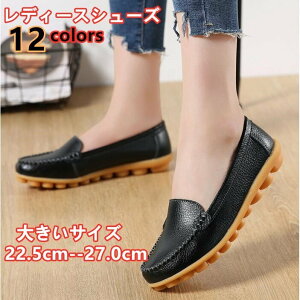 pvX fB[X tbgV[Y JV wlC fB[XV[Y {v [t@[ }}V[Y _炩 JWA ̓ v[g