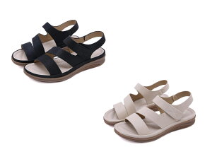 fB[X T_  ANXgbv }WbNe[v X|[cT_ RtH[g