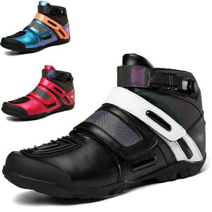 gNXu[c V[Y oCNpC oCNpC ʋC h ~ y ϖՐ h AEghA ϏՌ It[hu[c V[gu[c CfBOV[Y I[goCC