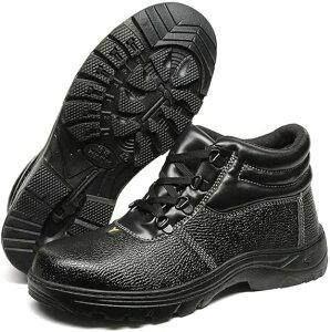 SC ƌC nCJbg h y vC^Cv  Y fB[X Z[teBV[Y |c ʋC  ~ h Bݔh~ ϖ