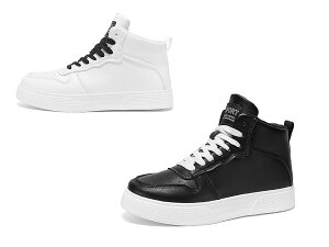 Xj[J[ LoX V[Nbgu[c Xj[J[ nCJbgXj[J[ JWA V[Y ʊw