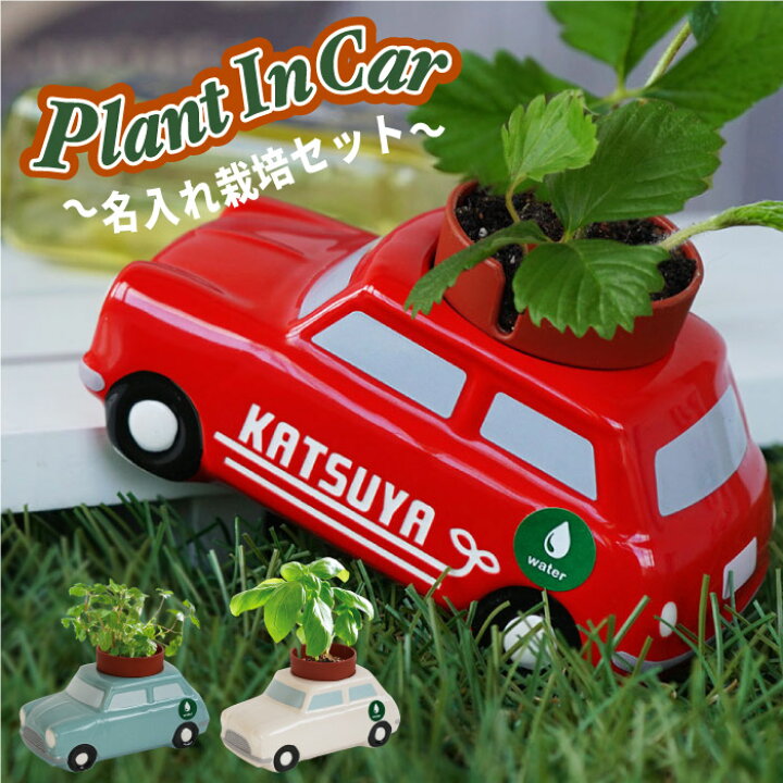 楽天市場 全品p5倍 父の日 プレゼント 実用的 車好き 旦那 誕生日プレゼント 男性 名入れ ギフト 植物 栽培セット 名前入り ミニカー ハーブ 栽培キット かわいい おしゃれ おもしろ 雑貨 ユニーク 癒し グッズ Diy 車 名入り ミニチュア雑貨 結婚記念日