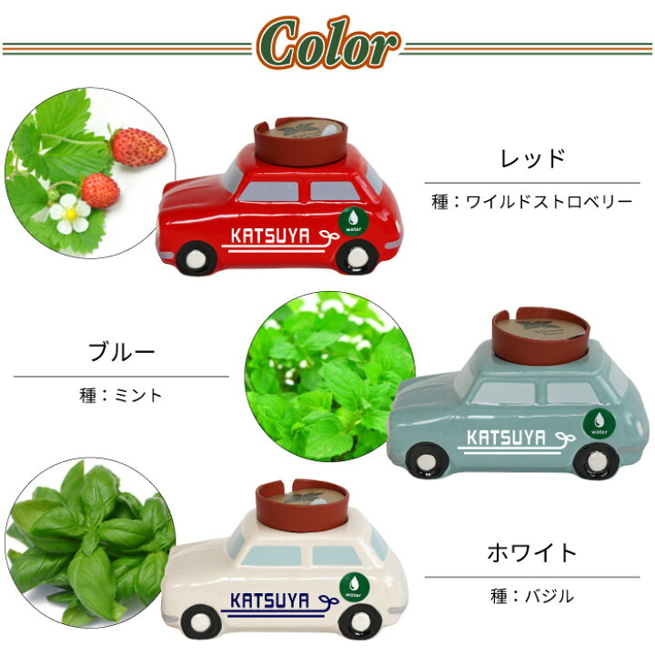 楽天市場 母の日 プレゼント 実用的 車好き プレゼント 旦那 誕生日プレゼント 男性 名入れ ギフト 植物 栽培セット 名前入り ミニカー ハーブ 栽培キット かわいい おしゃれ おもしろ 雑貨 ユニーク 癒し グッズ Diy 車 名入り ミニチュア雑貨 結婚記念日 贈り物 30代