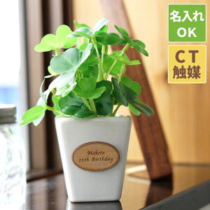 観葉植物 プレゼント 男性 農業資材 ガーデニング用品の通販 価格比較 価格 Com