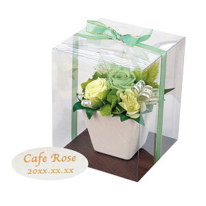 Ê j JXj   vU[uht[ AW Mtg O v[g y JƏj vU z ͂Ȃ   JtF e T H N j a