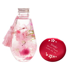 Ê j v[g ^u[ ~[ MtgZbg av[g FB Mtg  y  n[oE RpNg~[ Zbg z ͂Ȃ  sakura TN  