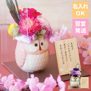 ふくろう プリザーブドフラワー 花の人気商品 通販 価格比較 価格 Com