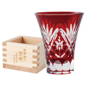 Ê j N ސE v[g ؎qOX җj j  Mtg y  ؎q OX e  ڂ Zbg z 傱   av[g v  U  60 ސEj 