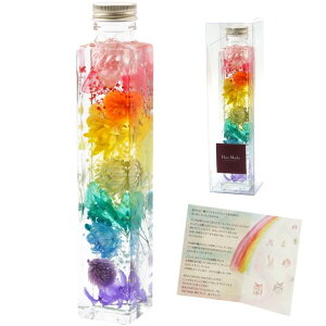 |CgUP112! ybg {     蕨 wybg ̋ n[oE Shinyx  vU[uht[ ~j ybg{    49 dp 