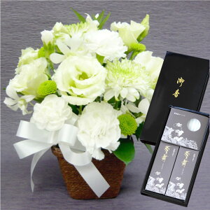 ytwz    Zbg Ђ܂ w    낤 MtgZbg x Zbg   AW  蕨  AWg @v @  