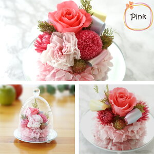 ytwz  ybg ̋  vU[uht[  ~j w ybg h[ x ފ ybg{ KXh[ dp   蕨   ͂