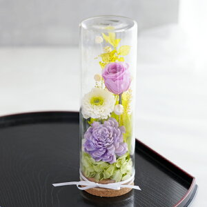 �y���t�w��z���~ ������ ���~ �V�~ �v���U�[�u�h�t�����[ ���� �K���X�h�[�� ���d�p�w �t�����[�{�g�� �x ���� �����Z�b�g �~�j ���� �������� ���� ���蕨 ������� �d�� ���d �l�\��� 