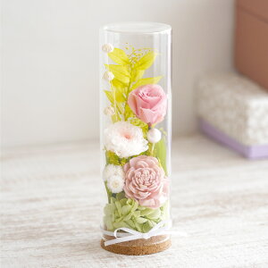 �y���t�w��z���~ ������ ���~ �V�~ �v���U�[�u�h�t�����[ ���� �K���X�h�[�� ���d�p�w �t�����[�{�g�� �x ���� �����Z�b�g �~�j ���� �������� ���� ���蕨 ������� �d�� ���d �l�\��� 