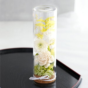 �y���t�w��z���~ ������ ���~ �V�~ �v���U�[�u�h�t�����[ ���� �K���X�h�[�� ���d�p�w �t�����[�{�g�� �x ���� �����Z�b�g �~�j ���� �������� ���� ���蕨 ������� �d�� ���d �l�\��� 